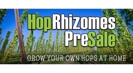 Grow Your Own Hops At Home!